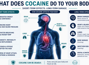 What Does Cocaine Do to Your Body?